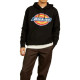 Dickies Logo