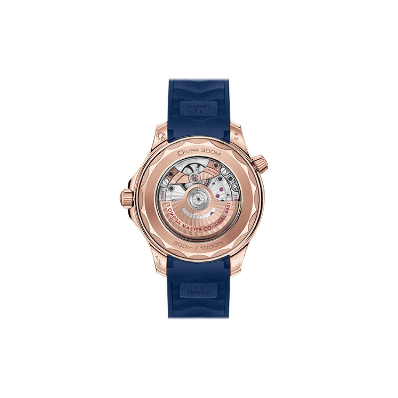 OMEGA 300 42mm 210.62.42.20.03.001