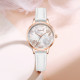 Disney SM-17009W