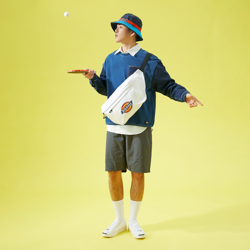 Dickies 100