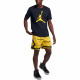 Air Jordan LogoT