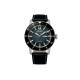 CITIZEN AW0077-19L