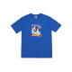 Supreme FW17 x The North Face Mountain Tee Royal T