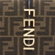 FENDI fendigraphy FF