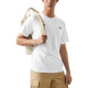 THE NORTH FACE SS23 LogoT