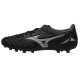 Mizuno