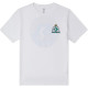 Converse T
