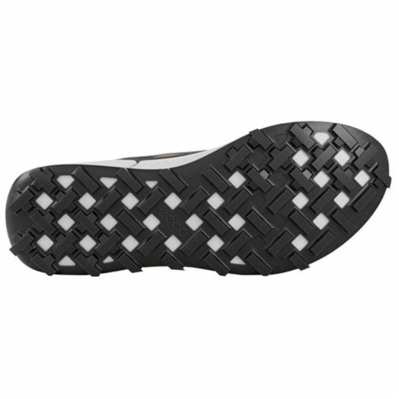 ecco BIOM2.1
