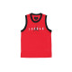 Air Jordan Jumpman Sport DNA
