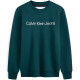 CKCalvin Klein CK Logo