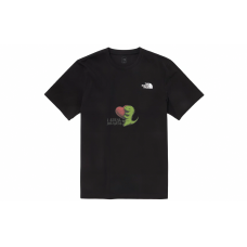 THE NORTH FACE YXYY T