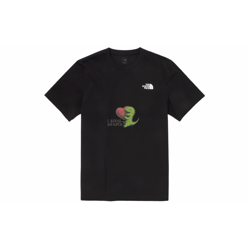 THE NORTH FACE YXYY T