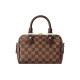 LOUIS VUITTON SpeedyBandoulire 20