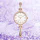 ROSSINI 50050XIN