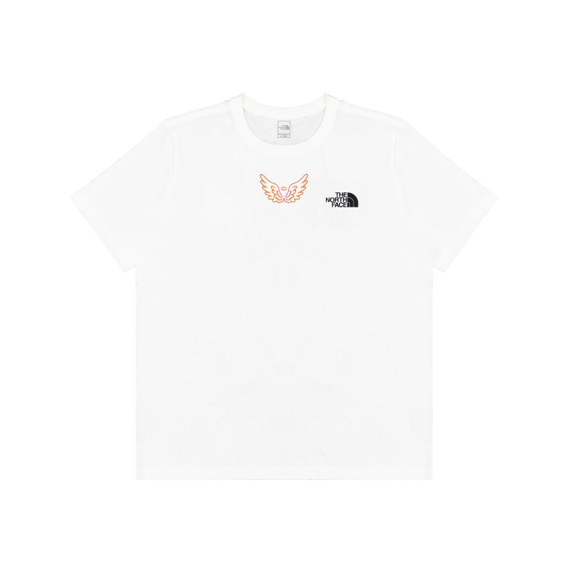 THE NORTH FACE T