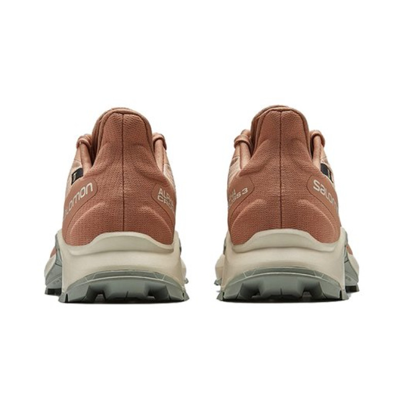 SALOMON Alphacross 3 Gtx