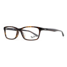 RayBan