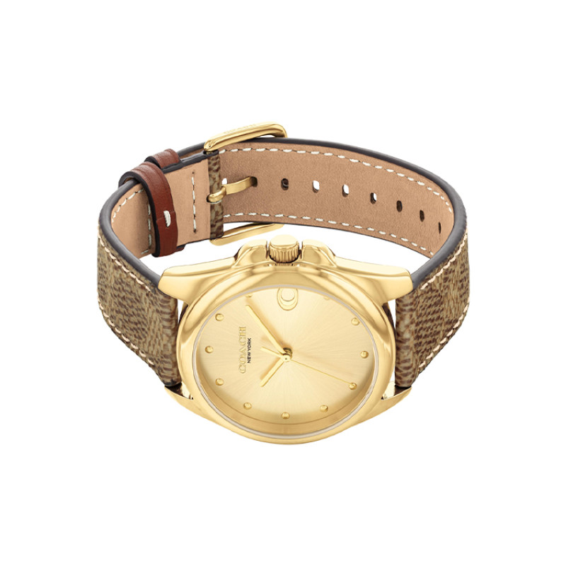 COACHGREYSON 36mm 14504111