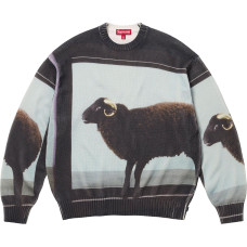 Supreme x Damien Hirst SS25 WEEK1 Sweater