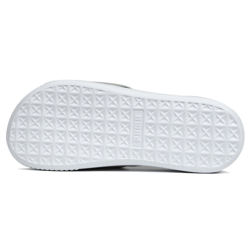 PUMA Platform Slide