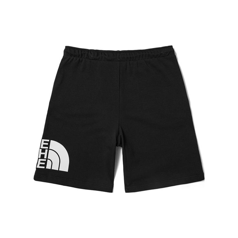 THE NORTH FACE 23SS Logo
