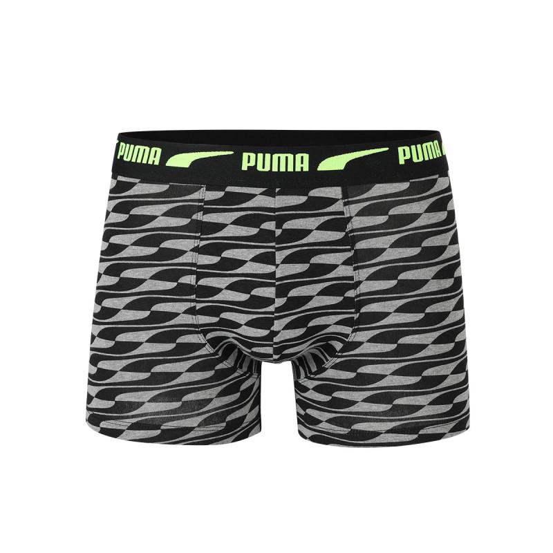 PUMA 1