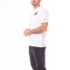 Champion T