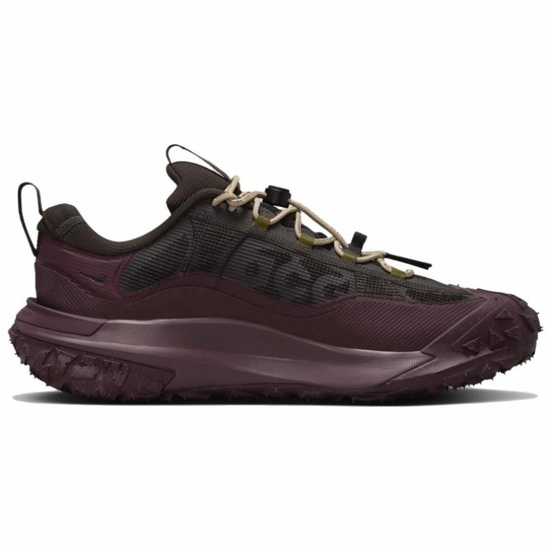 Nike ACG Mountain Fly 2 LOW Gore-Tex