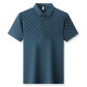 PIERRE CARDIN Polo