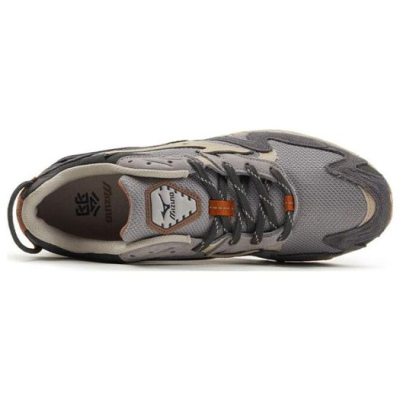 Mizuno Wave Rider 10