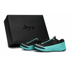 Arcteryx Aerios Fl 2 GTX 811