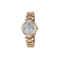 CITIZEN xc 100 18k ES5013-53A