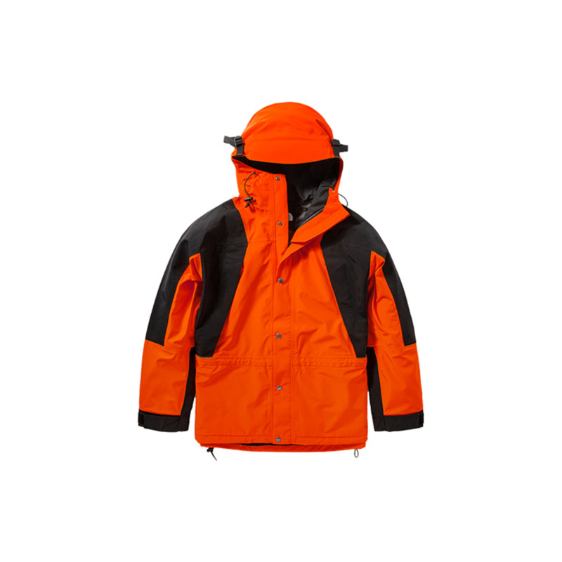 THE NORTH FACE 1994 1994 Retro Mountain Light Futurelight Jacket