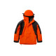 THE NORTH FACE 1994 1994 Retro Mountain Light Futurelight Jacket