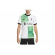 Nike Liverpool FC 202324 Match Away LogoT