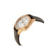 HAMILTON 50 34mm