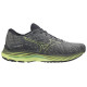 Mizuno Wave Rider 26
