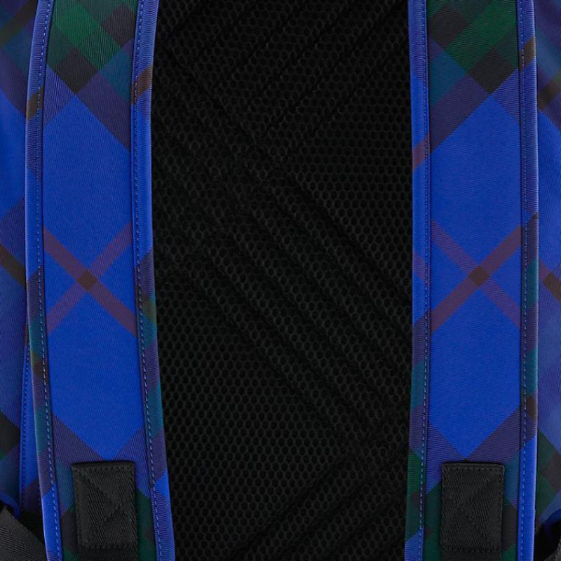 Burberry Shield