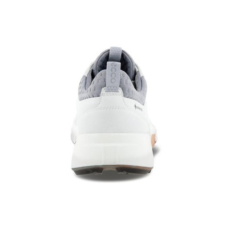ecco Biom H4