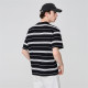 FAIRWHALE T