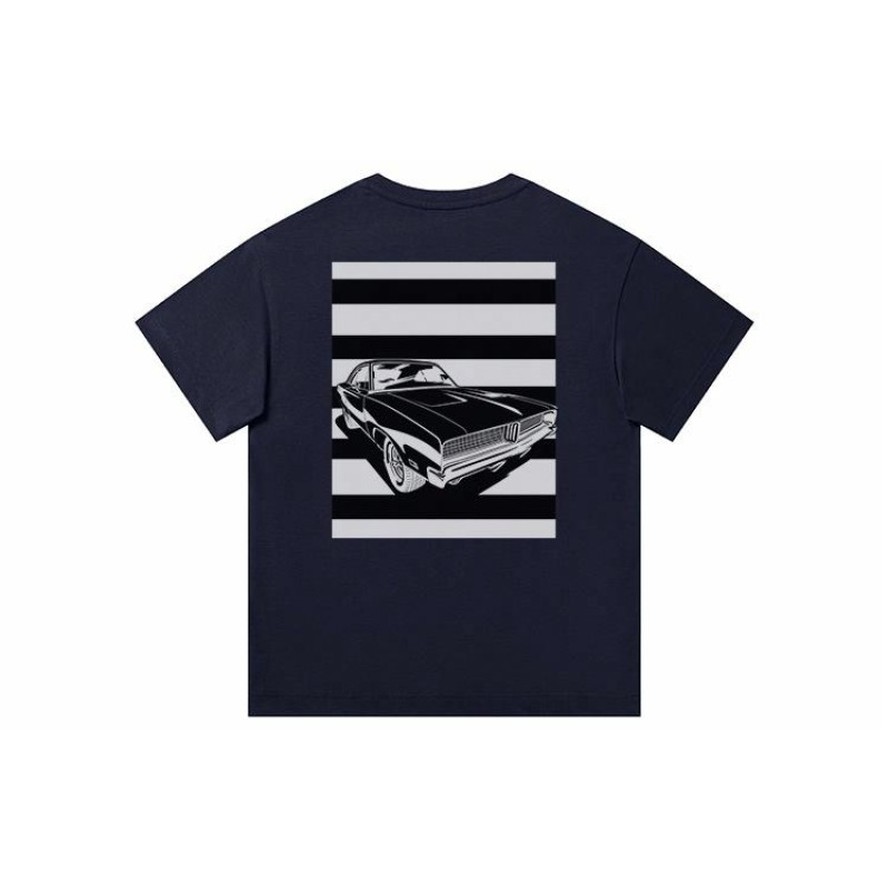 FAIRWHALE T