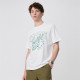 FAIRWHALE T