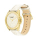COACHGREYSON 36mm C 14504141