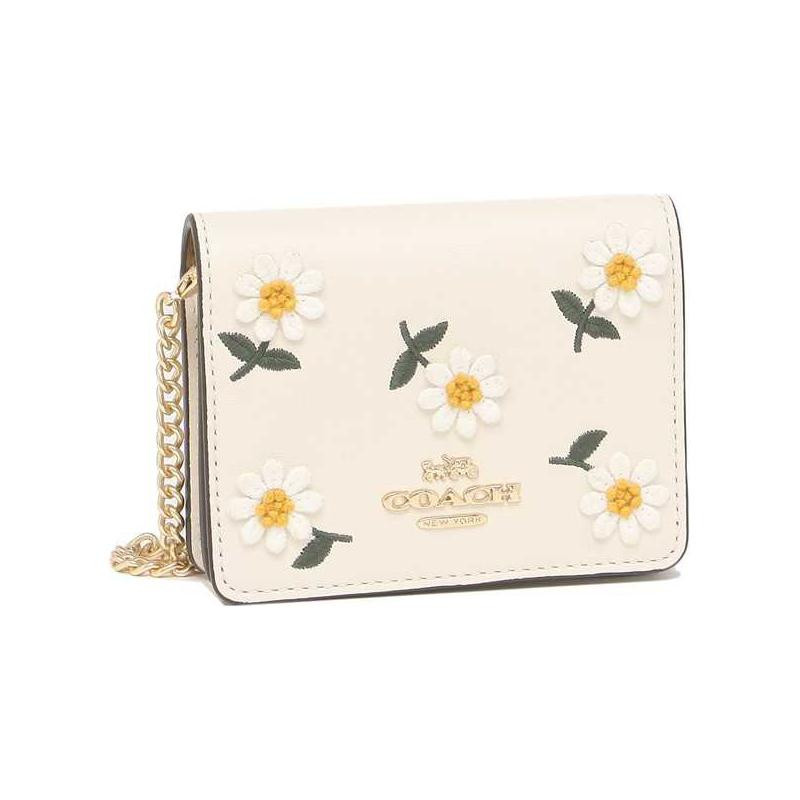 COACH Chain 10