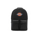 Dickies 100