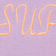 Supreme SS23 SS23 Week 1 SCRIPT HOODED SWEATSHIRT Logo