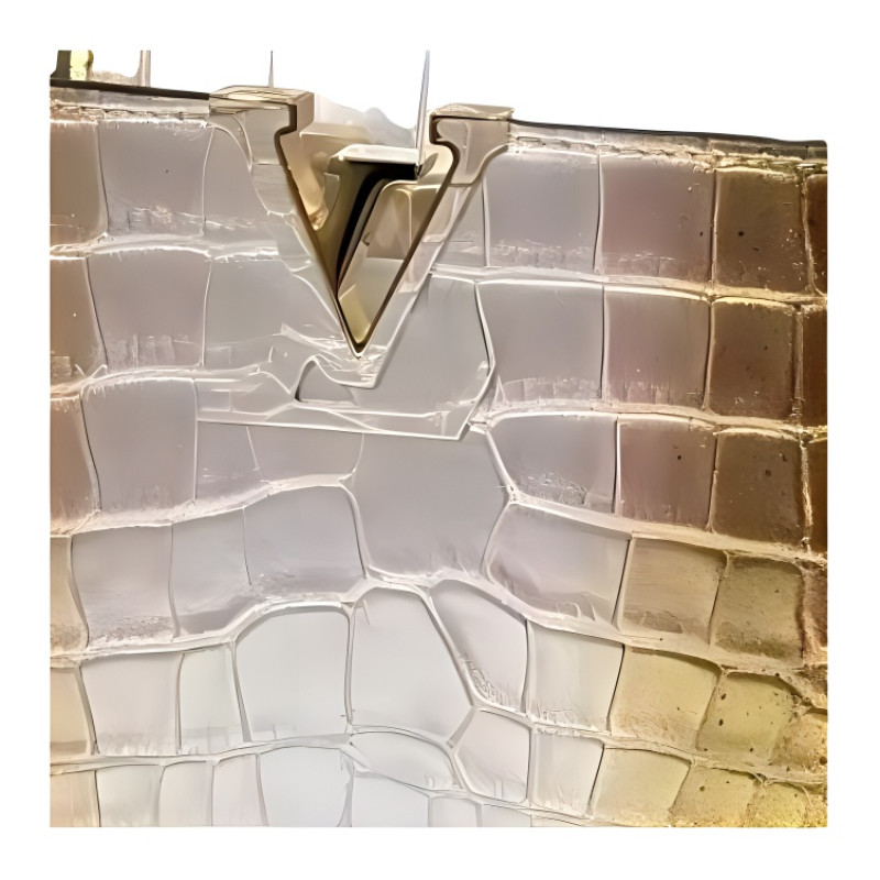 LOUIS VUITTON Capucines