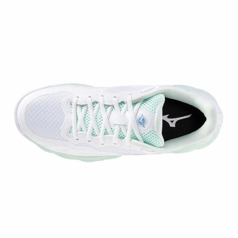 Mizuno Wave Enforce COURT