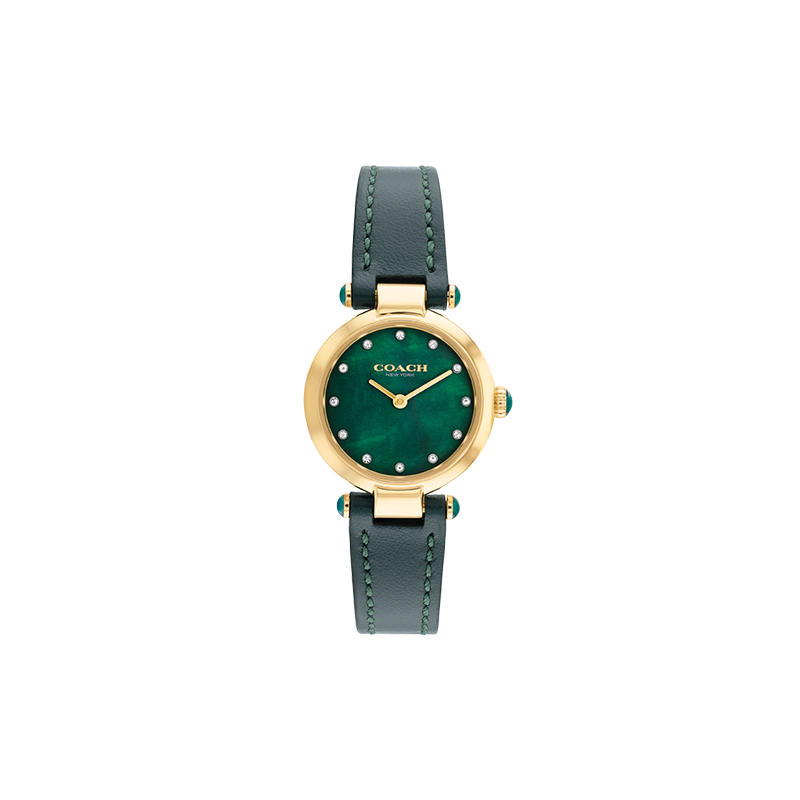 COACH Cary 26 14503951