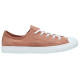 Converse Chuck Taylor All Star Daily Summer Getaway